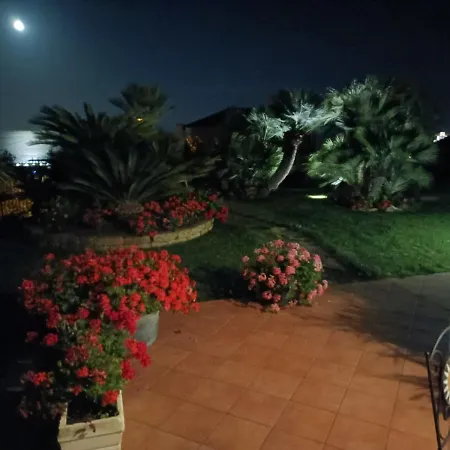 Chez Luis *
